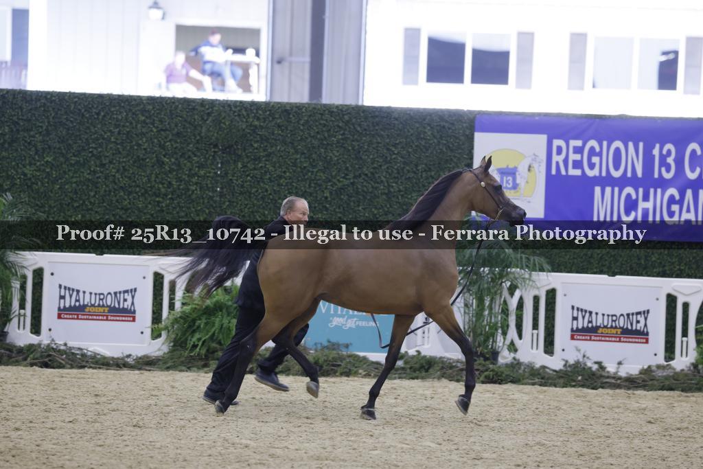 Proof 25R13_10742