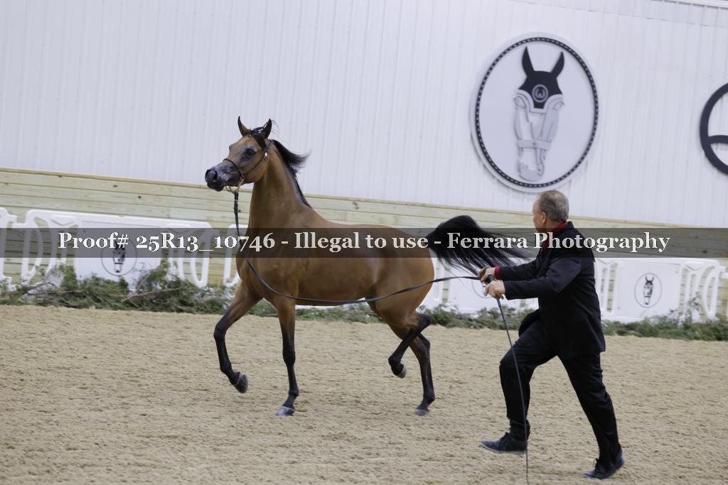 Proof 25R13_10746