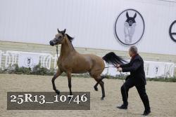 25R13_10746 proof