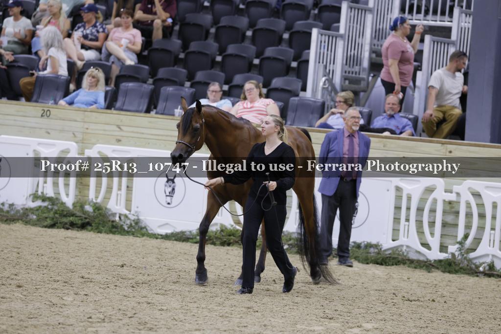 Proof 25R13_10747