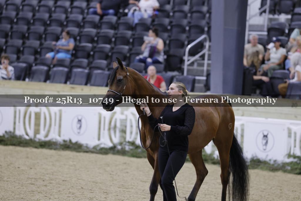 Proof 25R13_10749