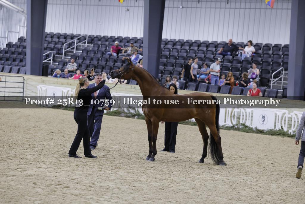 Proof 25R13_10759