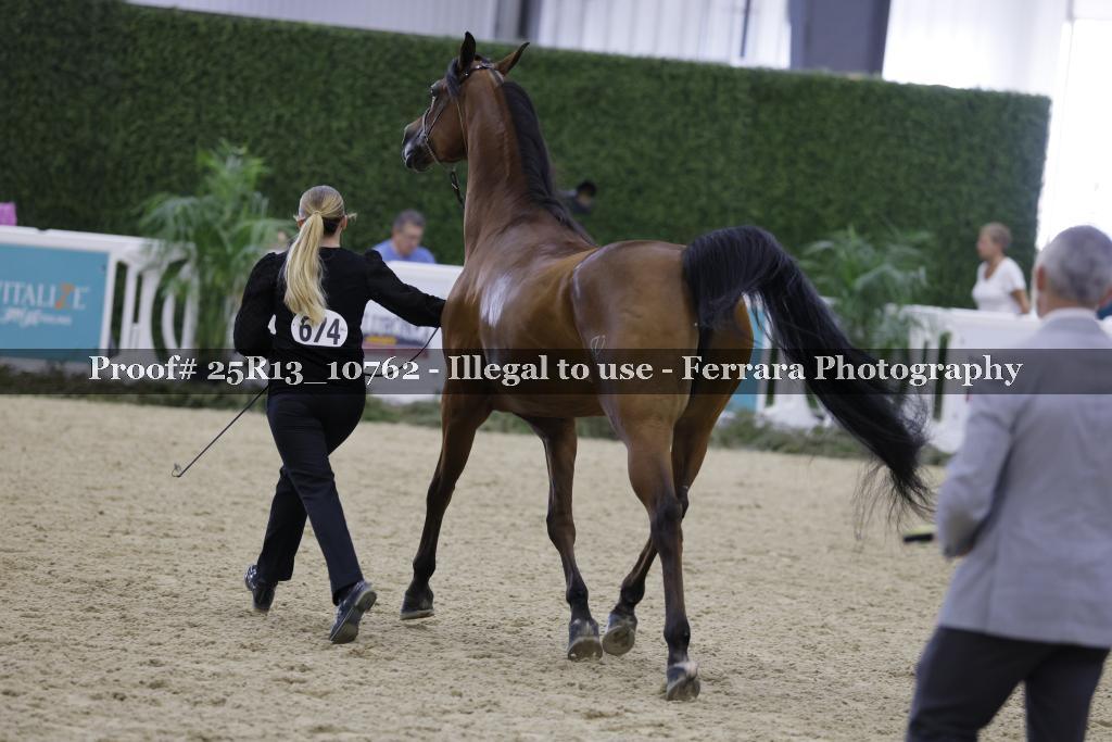 Proof 25R13_10762