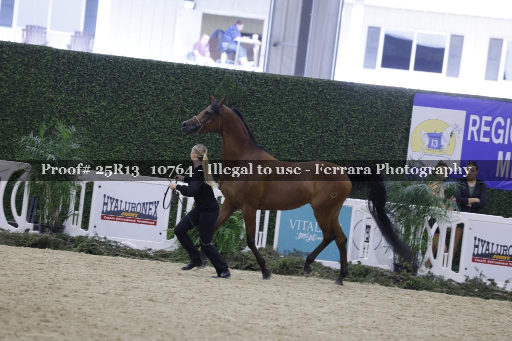 Proof 25R13_10764