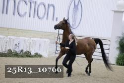 25R13_10766 proof