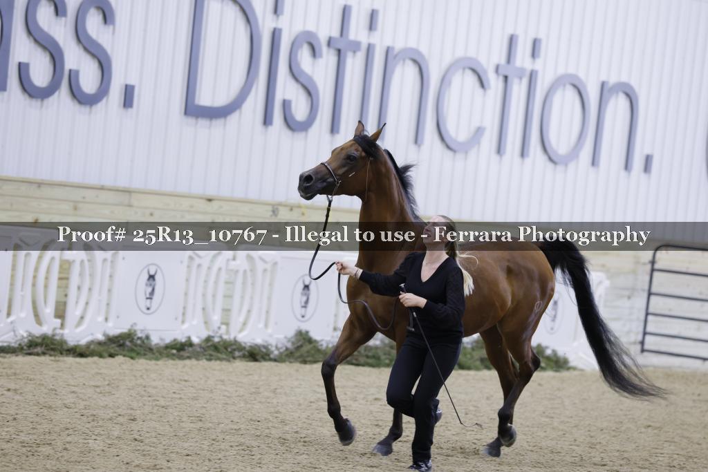 Proof 25R13_10767
