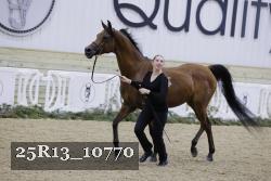 25R13_10770 proof