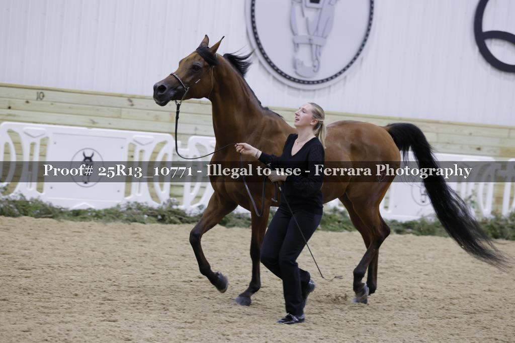 Proof 25R13_10771