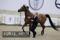 25R13_10771 proof