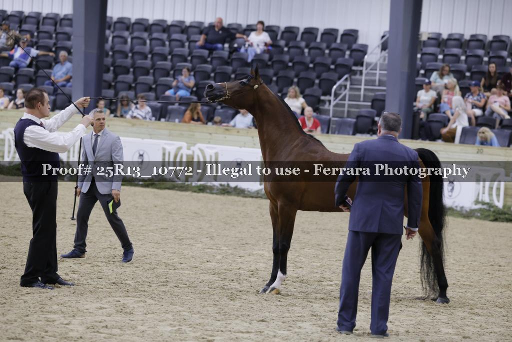 Proof 25R13_10772