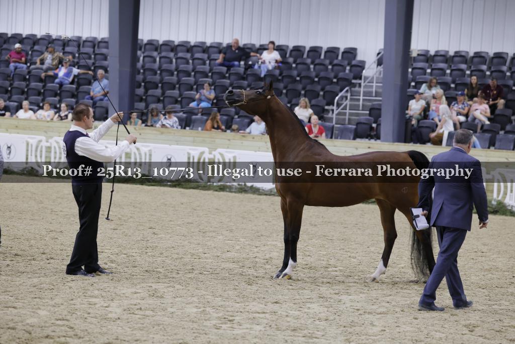 Proof 25R13_10773
