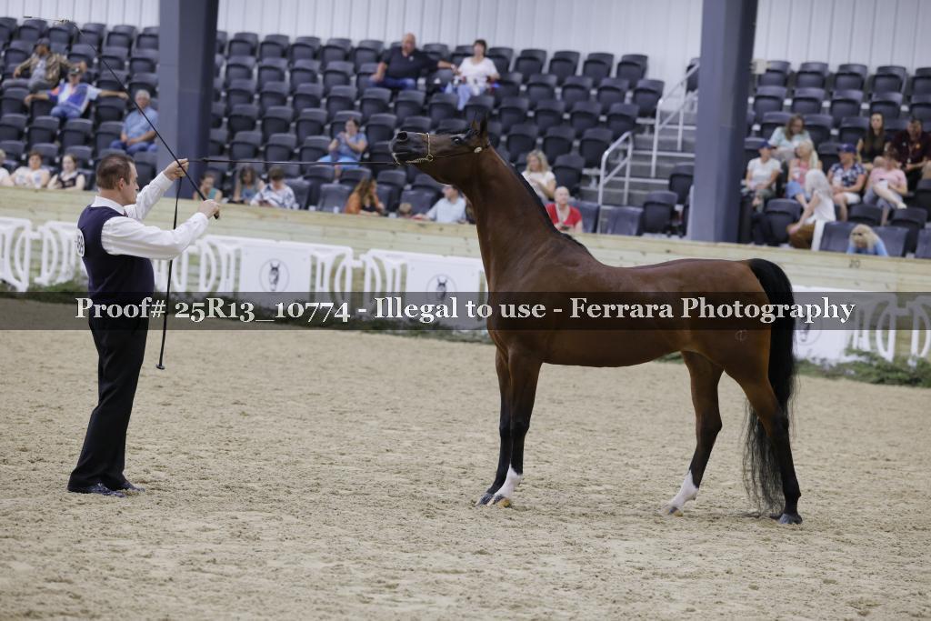 Proof 25R13_10774