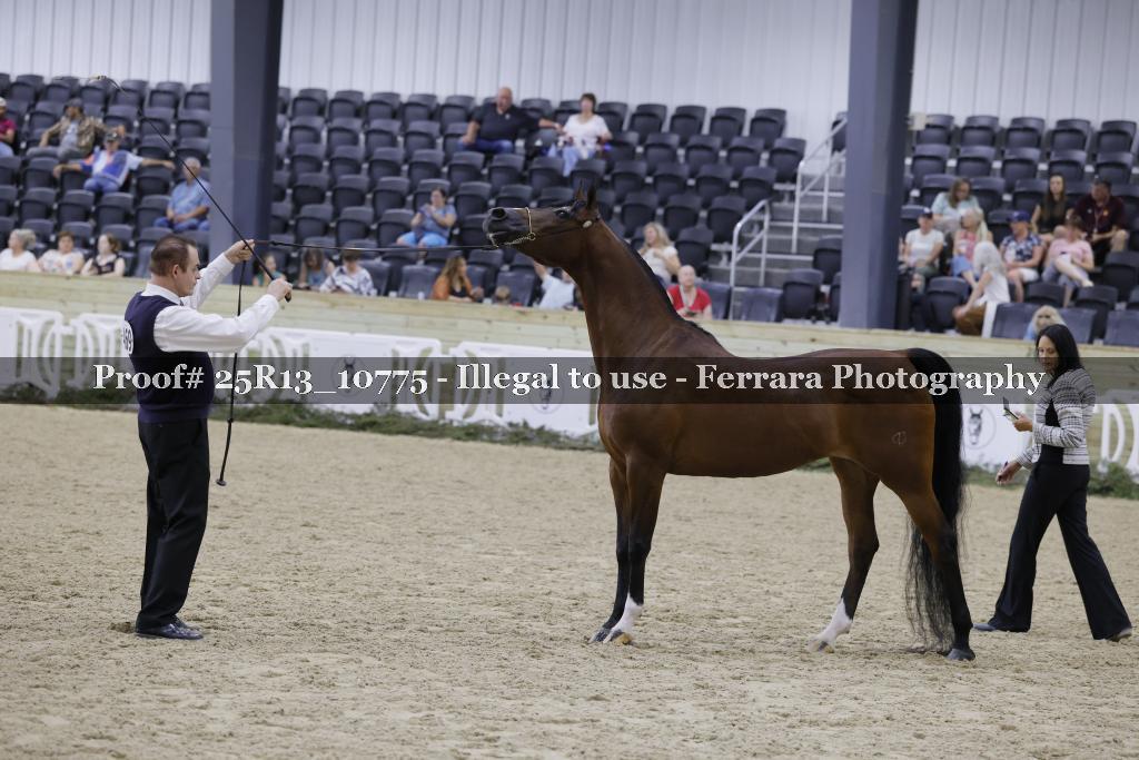 Proof 25R13_10775