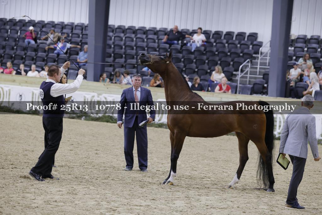 Proof 25R13_10778