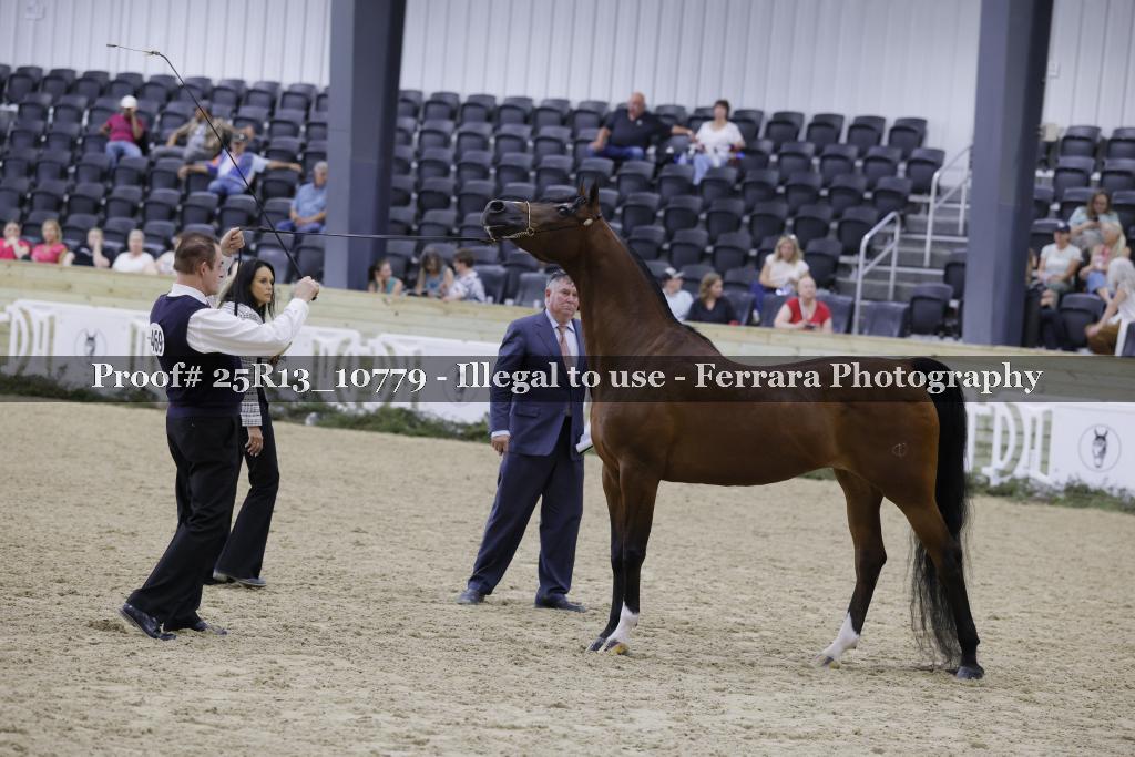 Proof 25R13_10779