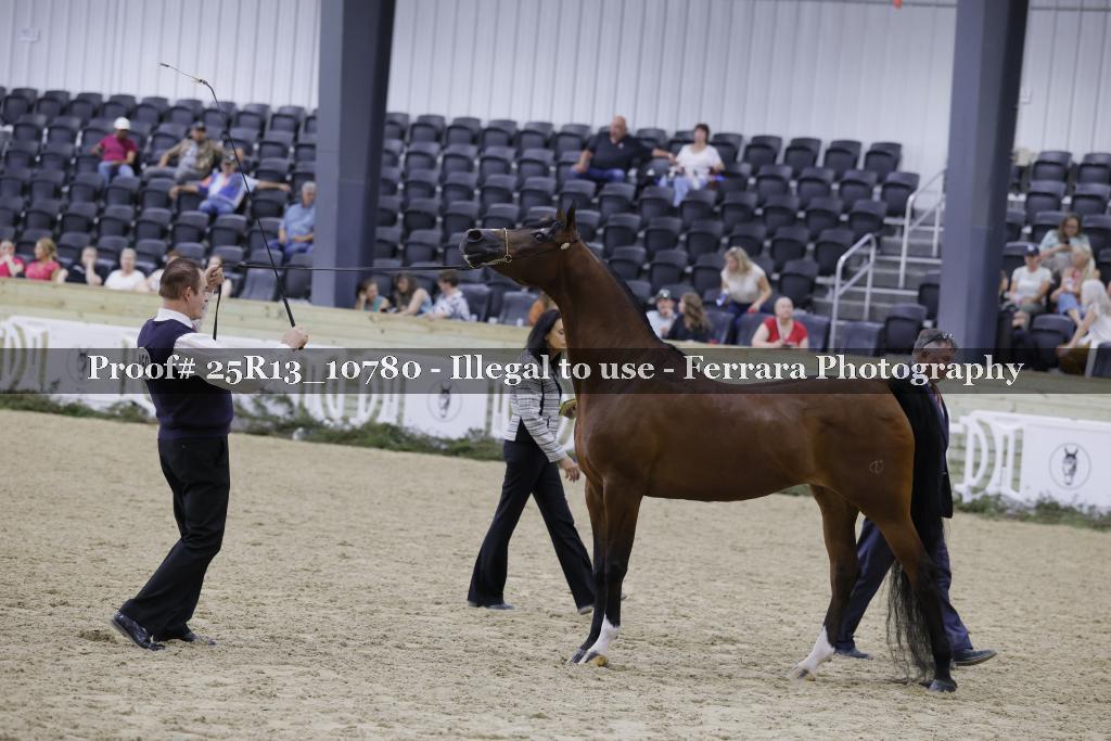 Proof 25R13_10780