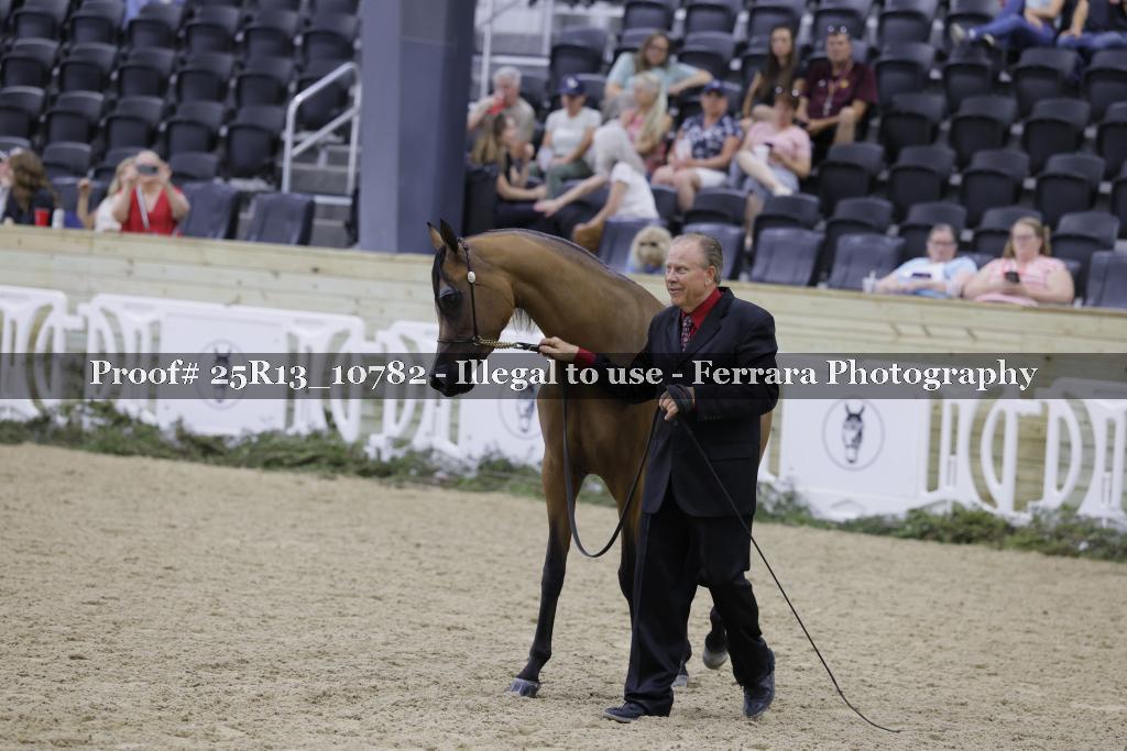 Proof 25R13_10782