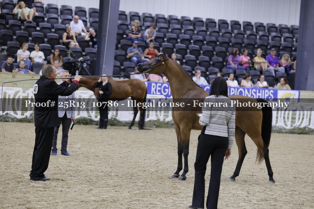 Proof 25R13_10786