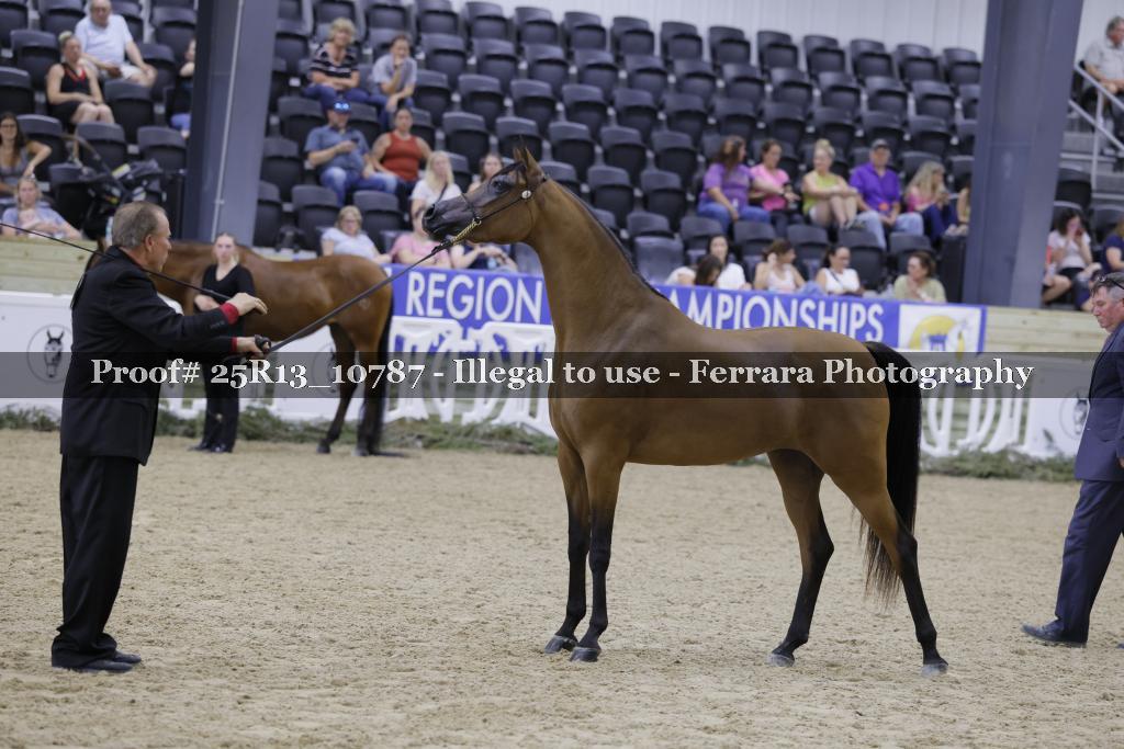 Proof 25R13_10787