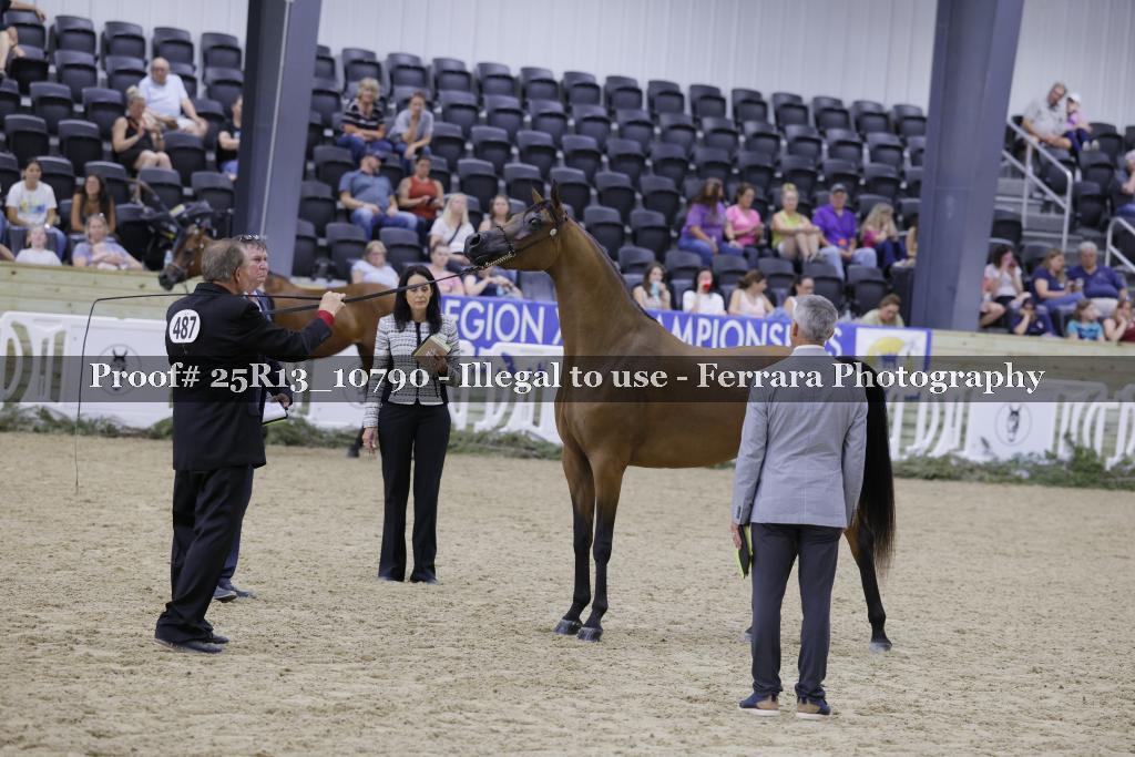 Proof 25R13_10790