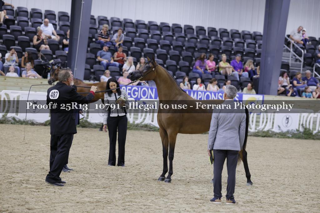 Proof 25R13_10791