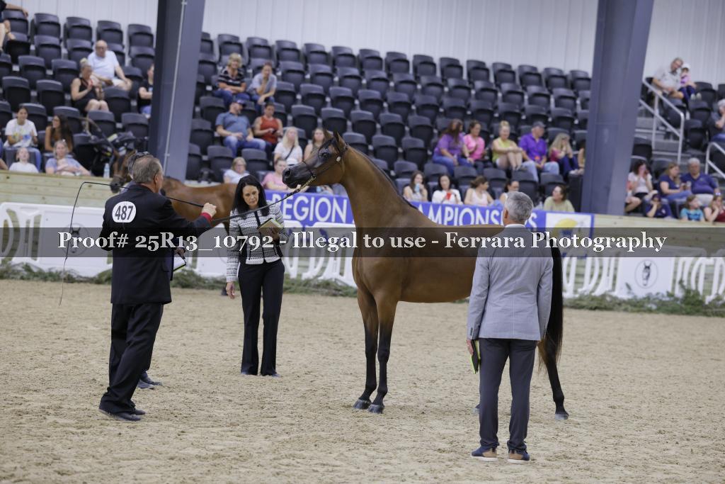 Proof 25R13_10792
