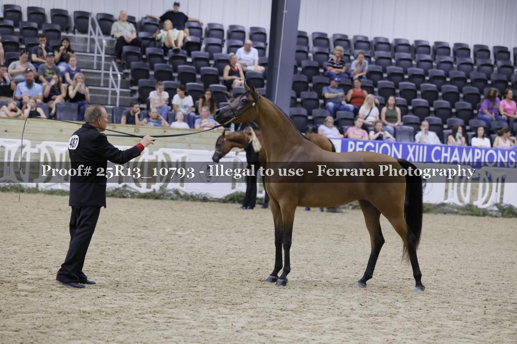 Proof 25R13_10793