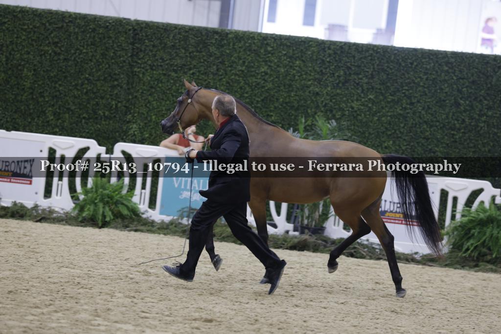 Proof 25R13_10794