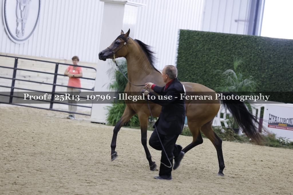 Proof 25R13_10796