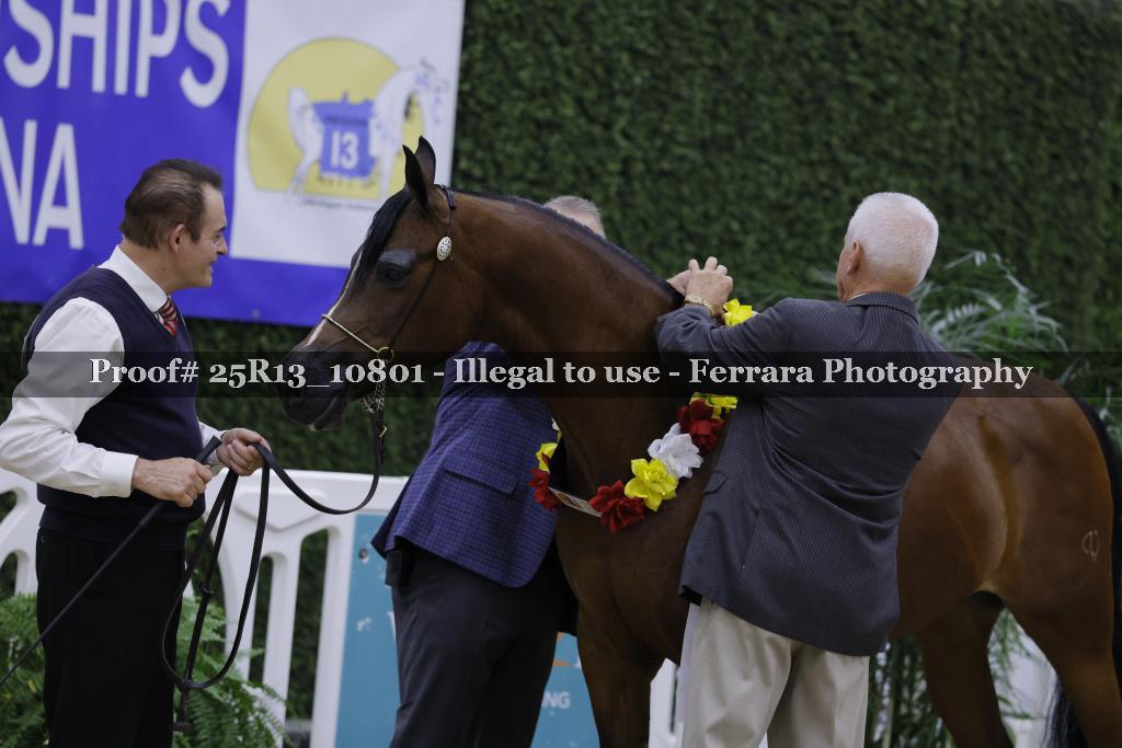 Proof 25R13_10801