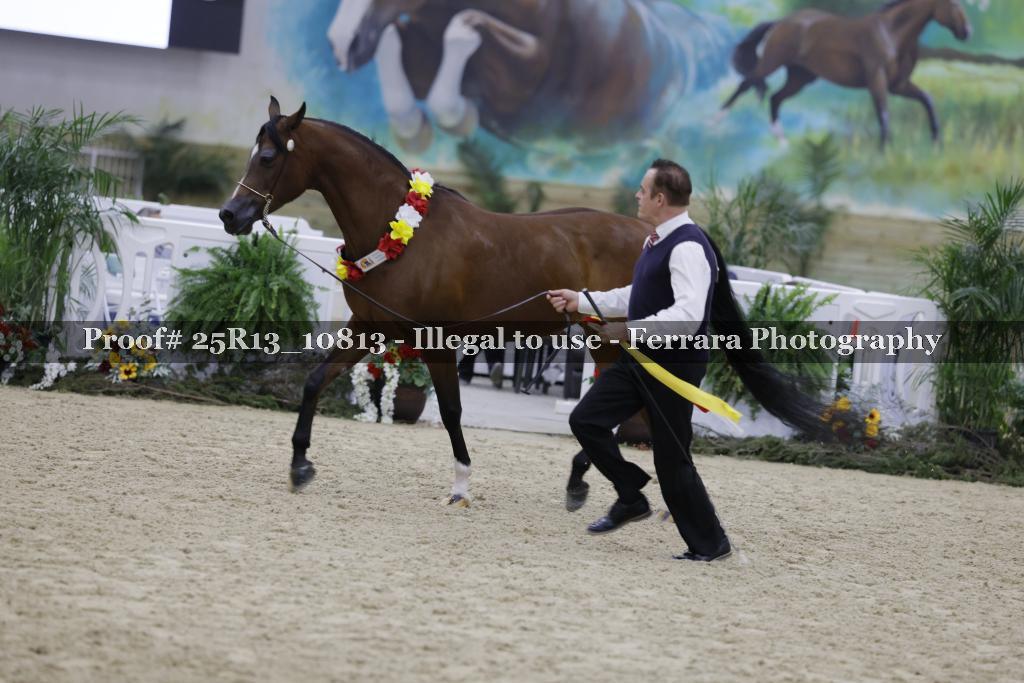 Proof 25R13_10813