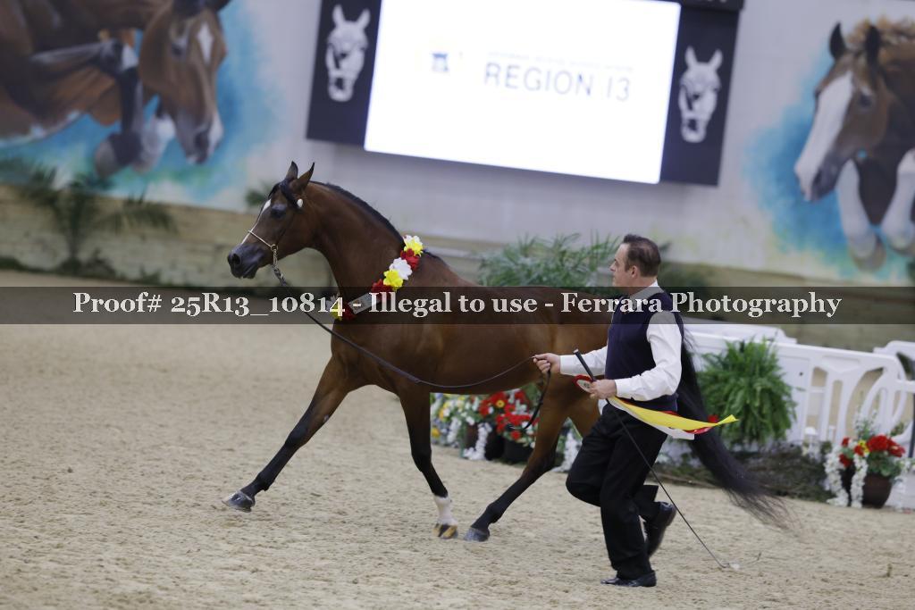 Proof 25R13_10814
