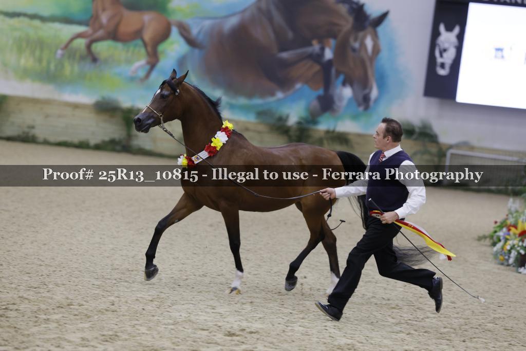 Proof 25R13_10815