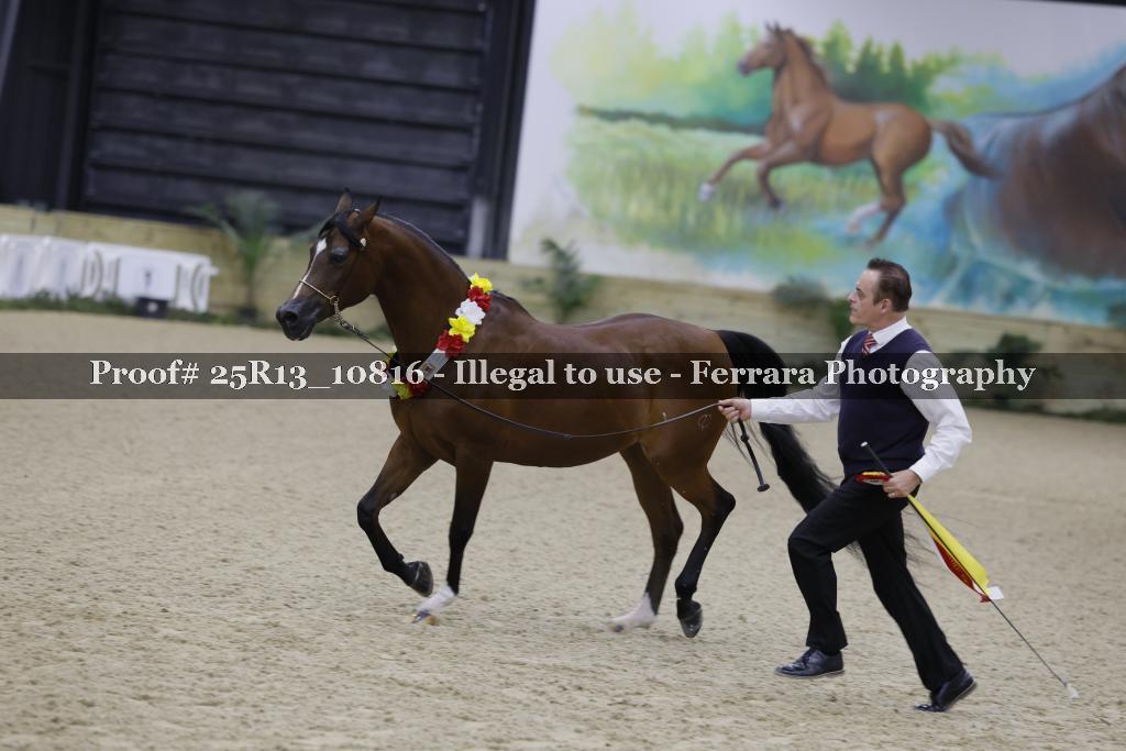 Proof 25R13_10816