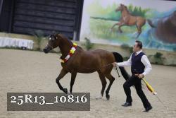 25R13_10816 proof