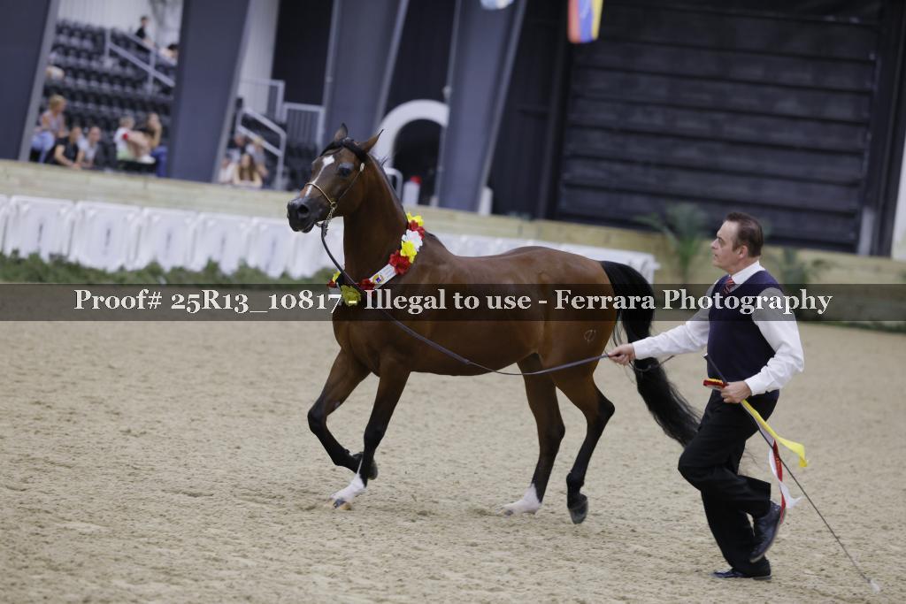 Proof 25R13_10817