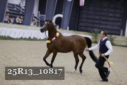 25R13_10817 proof