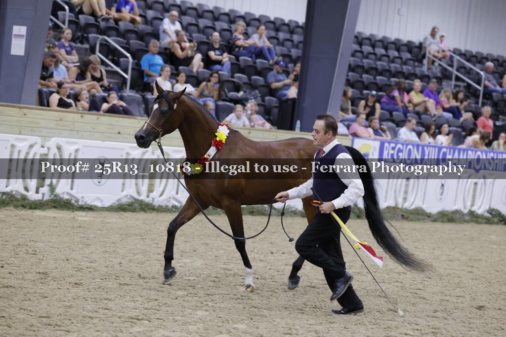 Proof 25R13_10818
