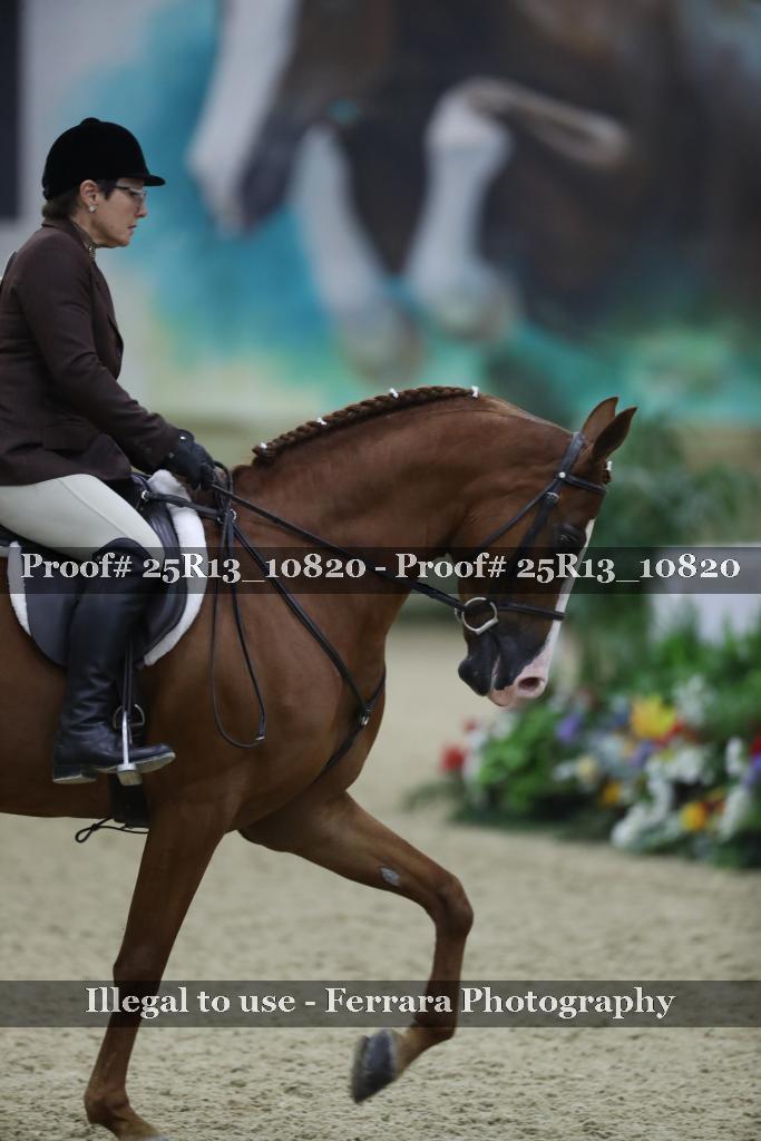 Proof 25R13_10820