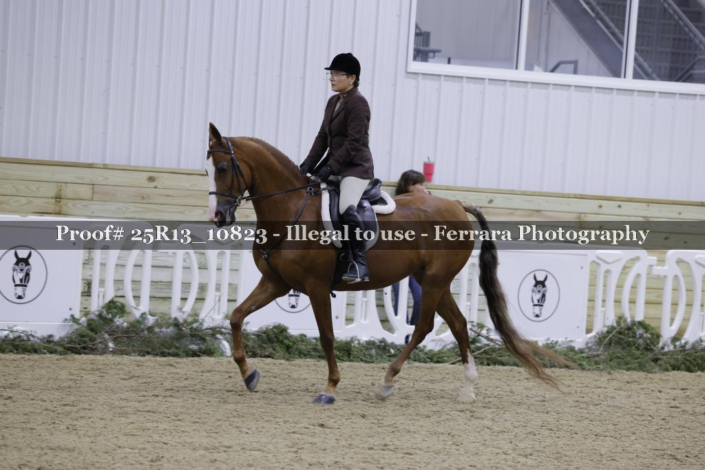 Proof 25R13_10823