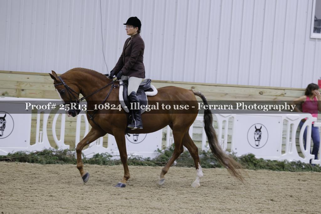 Proof 25R13_10824