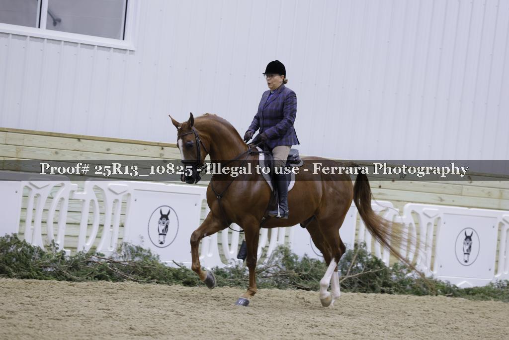 Proof 25R13_10825