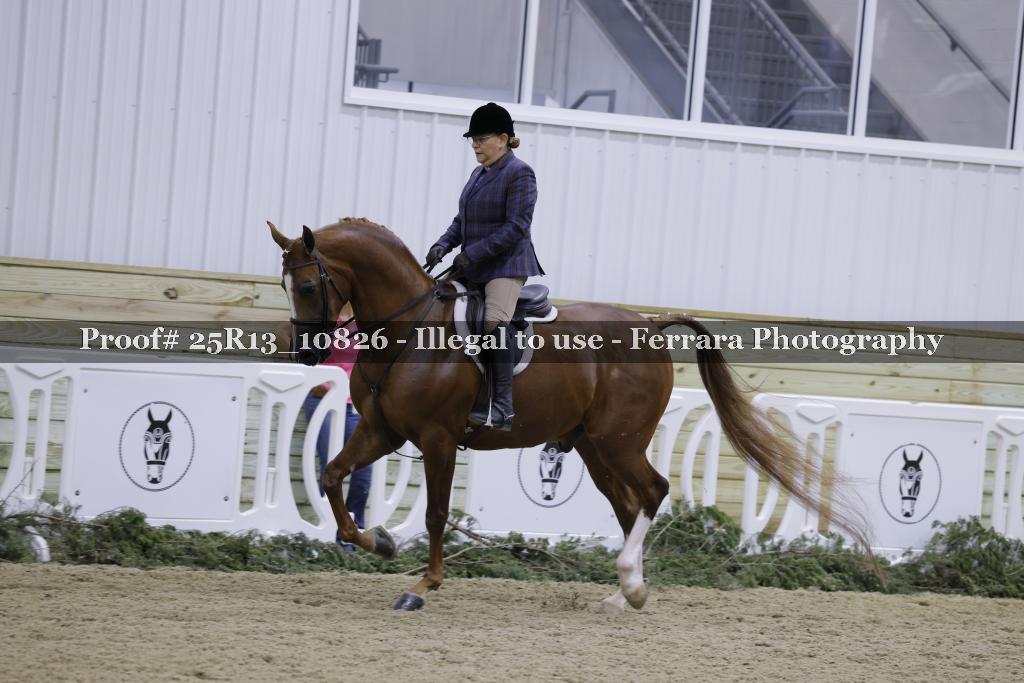 Proof 25R13_10826