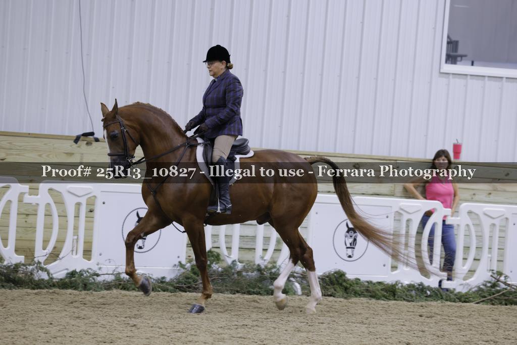 Proof 25R13_10827