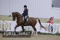 25R13_10827 proof