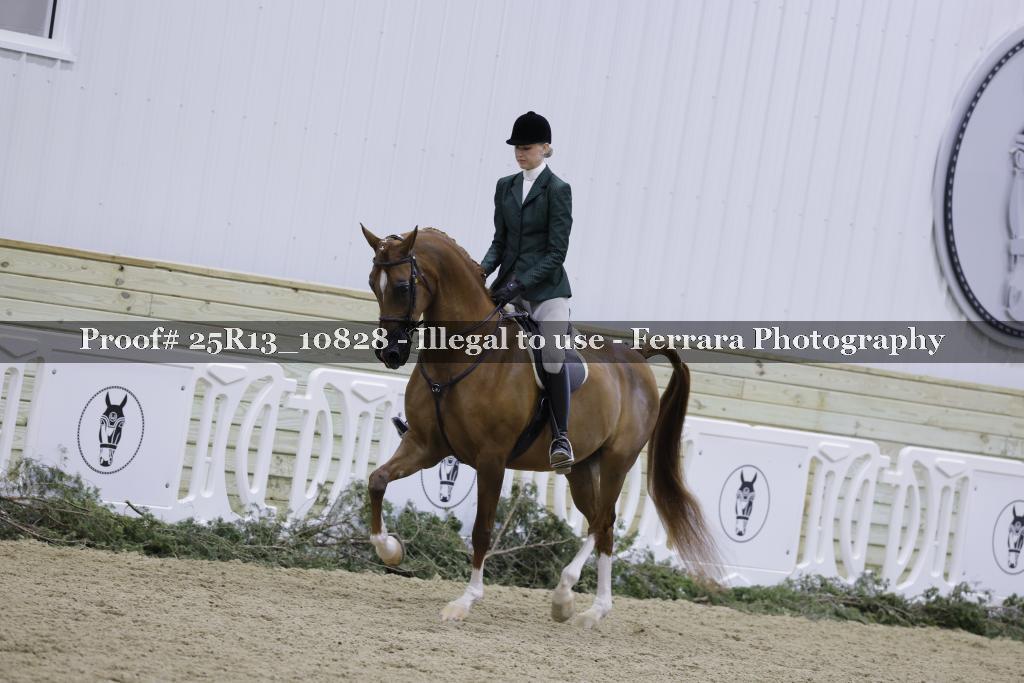 Proof 25R13_10828