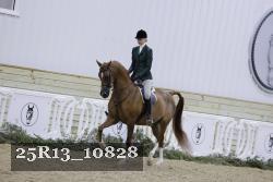 25R13_10828 proof