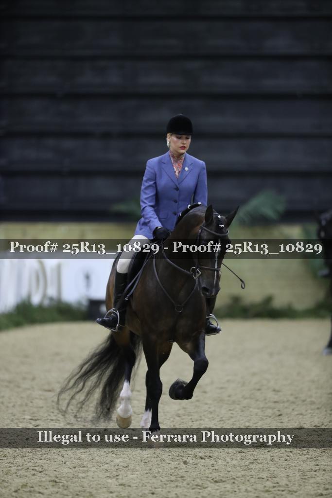 Proof 25R13_10829