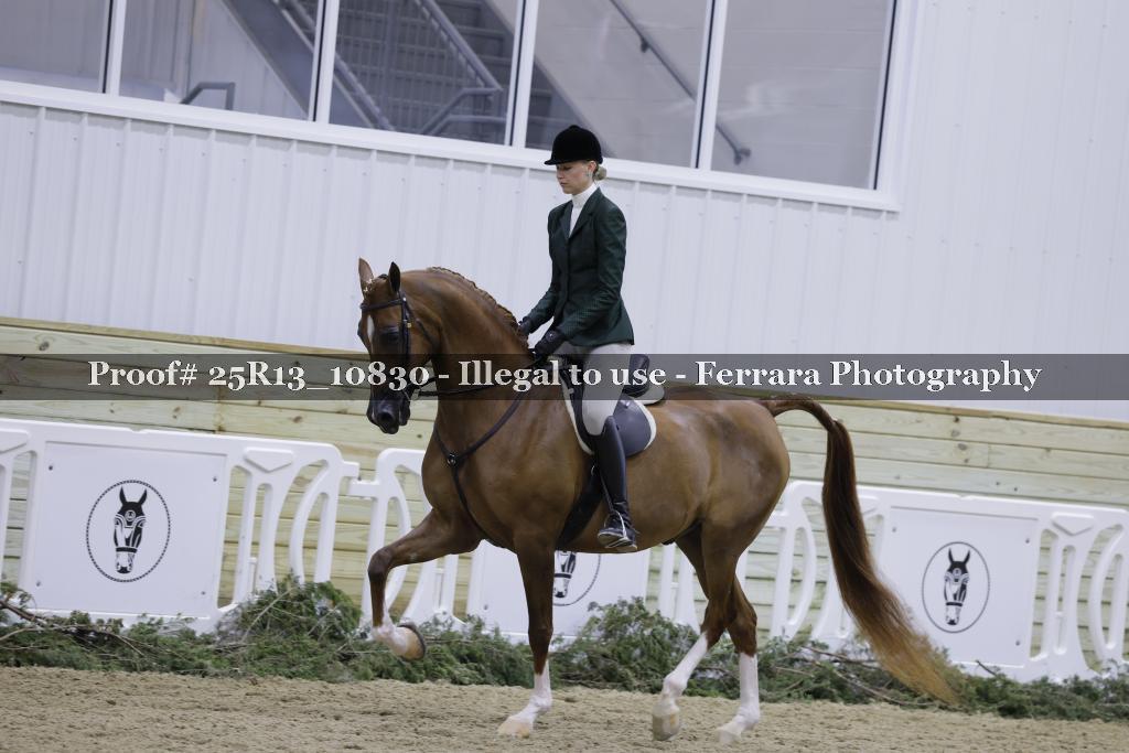 Proof 25R13_10830