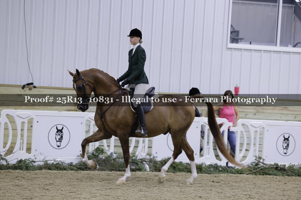 Proof 25R13_10831